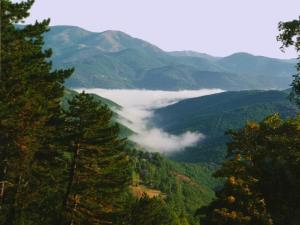 Nebbia in Valle